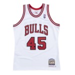 Mitchell & Ness Pánský dres Chicago Bulls NBA Michael Jordan #45 1994-95 Authentic Velikost: M