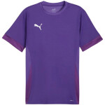 Puma teamGoal Matchday Jersey M 705747 10 pánské L