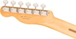 Fender Player II Telecaster RW RLO
