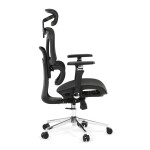 Kancelářská židle, synchronní mechanismus, černá síťovina, KA-B2361 BK