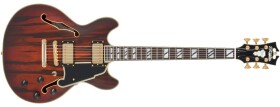 D'Angelico Deluxe Mini DC Satin Brown Burst