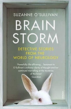 Brainstorm - Suzanne O’Sullivanová