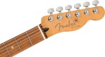 Fender Player Plus Telecaster PF SVS