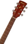 Ibanez PF10CE Natural