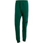 Kalhoty adidas Essentials Big Logo French Terry M JE8971 s