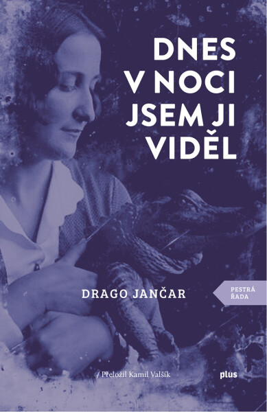 Dnes v noci jsem ji viděl - Drago Jančar