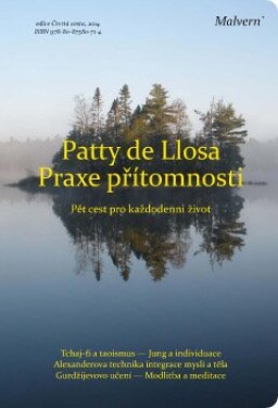 Praxe přítomnosti Patty de Llosa