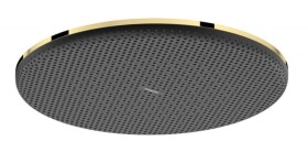 HANSGROHE - Raindance Alive S Hlavová sprcha, průměr 30 cm, EcoSmart+, leštěný vzhled zlata 24523990