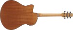 Ibanez AAM50CE Natural