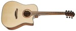 Furch Rainbow Dc-LE