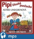 Pipi Dlouhá punčocha Astrid Lindgrenová