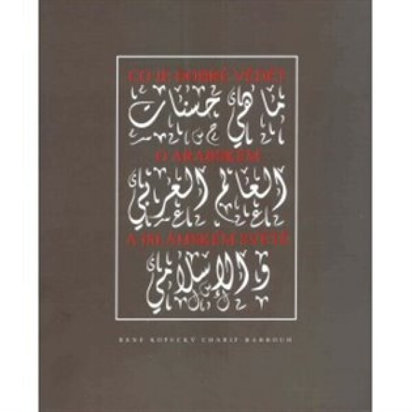 Co je dobré vědět a arabském a islámském - René Kopecký