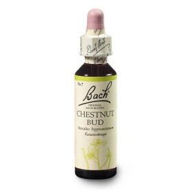 Kaštan koňský, poupě (Chestnut Bud) 20 ml - Bachovy esence Dr.Bach