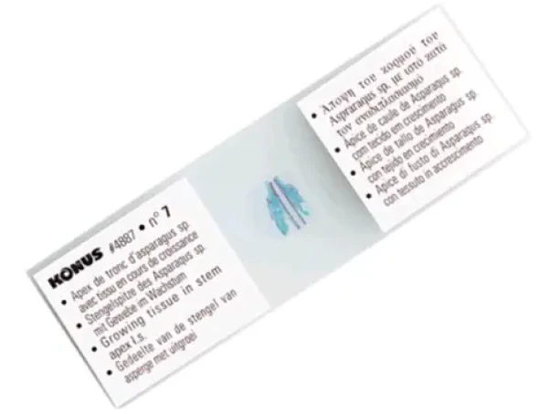 Konus Sada mikroskopických vzorků - Svět v kapce vody (10ks) / 10 různých snímků (4900)