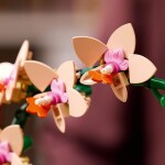 LEGO LEGO® Botanicals 10343 Miniaturní orchidej