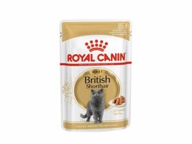 Royal Canin British Shorthair Adult 12 x 85 g