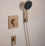 HANSGROHE - Ecostat Comfort E Termostatická baterie pod omítku, kartáčovaný bronz 33710140