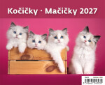 Stolní kalendář 2027 Helma Minimax Kočičky