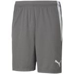 Puma teamLIGA M 704924 13 šortky 2 XL