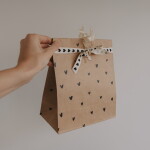 Eulenschnitt Papírový sáček Illustrations 27 × 21 cm – set 6 ks, hnědá barva, přírodní barva, papír