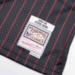 Mitchell & Ness Pánský dres Chicago Bulls NBA Steve Kerr #25 1995-96 Swingman Pinstripe Velikost: L