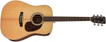 Cort Earth 100 NAT