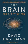 The Brain, The Story of You - David Eagleman
