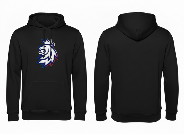 STŘÍDA SPORT Pánská Mikina klokanka logo lev ČH tricolour Velikost: