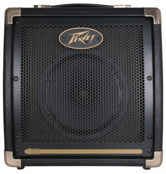 Peavey Ecoustic E20