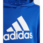 Mikina adidas Big Logo Essentials Hoodie Jr IC6834 cm