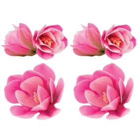 Dekorace oplatková - Magnólie růžová 6 ks