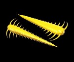 Libra Lures Červ Slayzur 55 12ks - Pellet 035,Libra Lures Červ Slayzur 55 12ks - Pellet 035