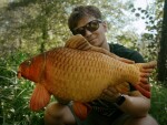Delphin Plyšový kapr Carpy,Delphin Plyšový kapr Carpy