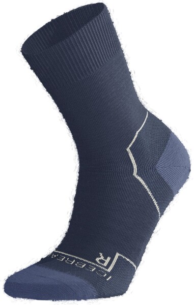 ICEBREAKER Wmns Hike+ Medium Crew, Dawn/Snow/Kyanite velikost: 41-43 (L)