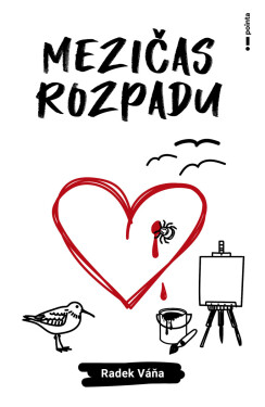 Mezičas rozpadu - Radek Váňa