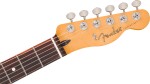 Fender Player II Telecaster RW RLO