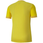 Puma teamGOAL 23 Jersey 704171 07