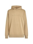 ICEBREAKER Mens Merino 360 RealFleece Elemental LS Hood, Cumin (vzorek) velikost: M