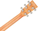 Tanglewood TM5CE