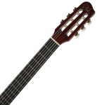 Godin Multiac Nylon Deluxe