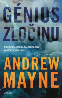 Génius zločinu (11)