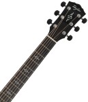 Taylor Gold Label 814e SB