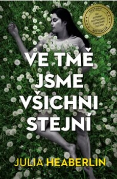 Ve tmě jsme všichni stejní Julia Heaberlin