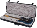 Fender American Professional II Telecaster RW DK NIT
