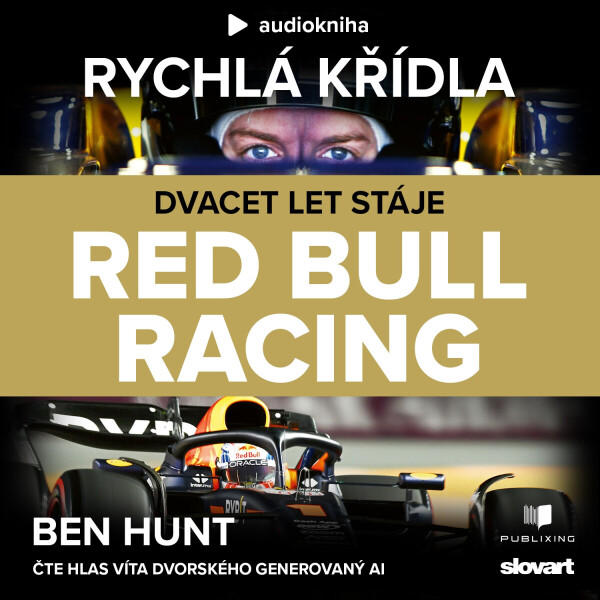 Rychlá křídla - Ben Hunt - audiokniha