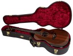Taylor PS14ce