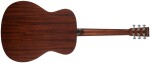 Tanglewood TC3