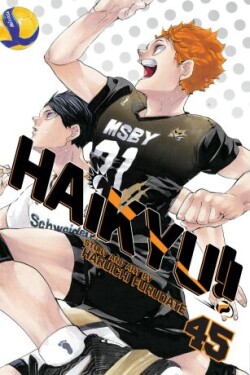 Haikyu!! 45 Haruichi Furudate