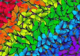 ENJOY Puzzle Duhoví motýlci