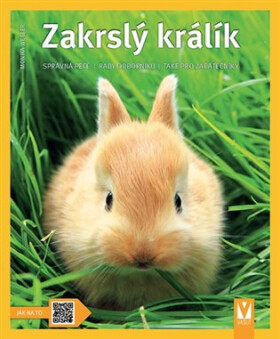 Zakrslý králík: